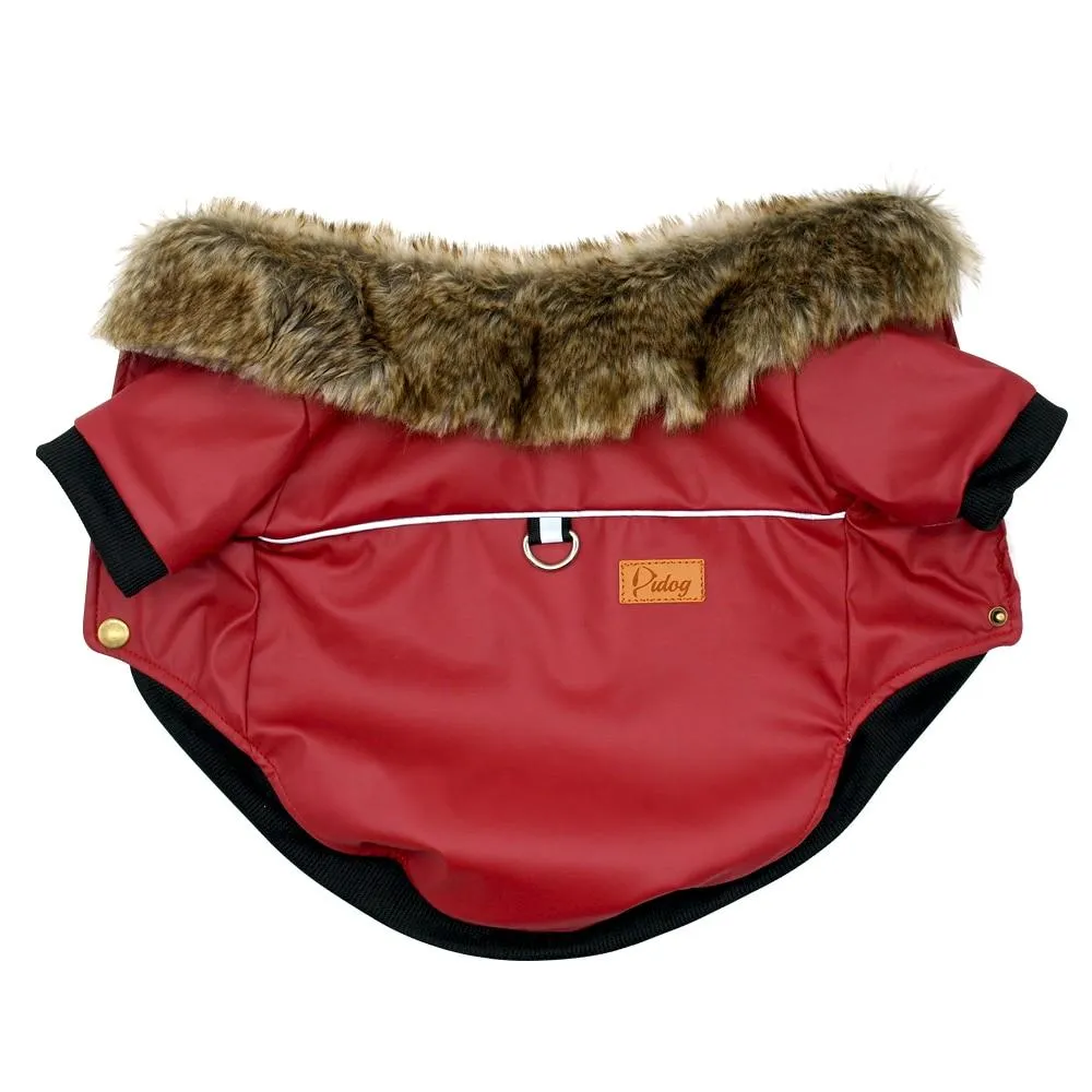 Stylish Leather Coat for French Bulldog (WS74)